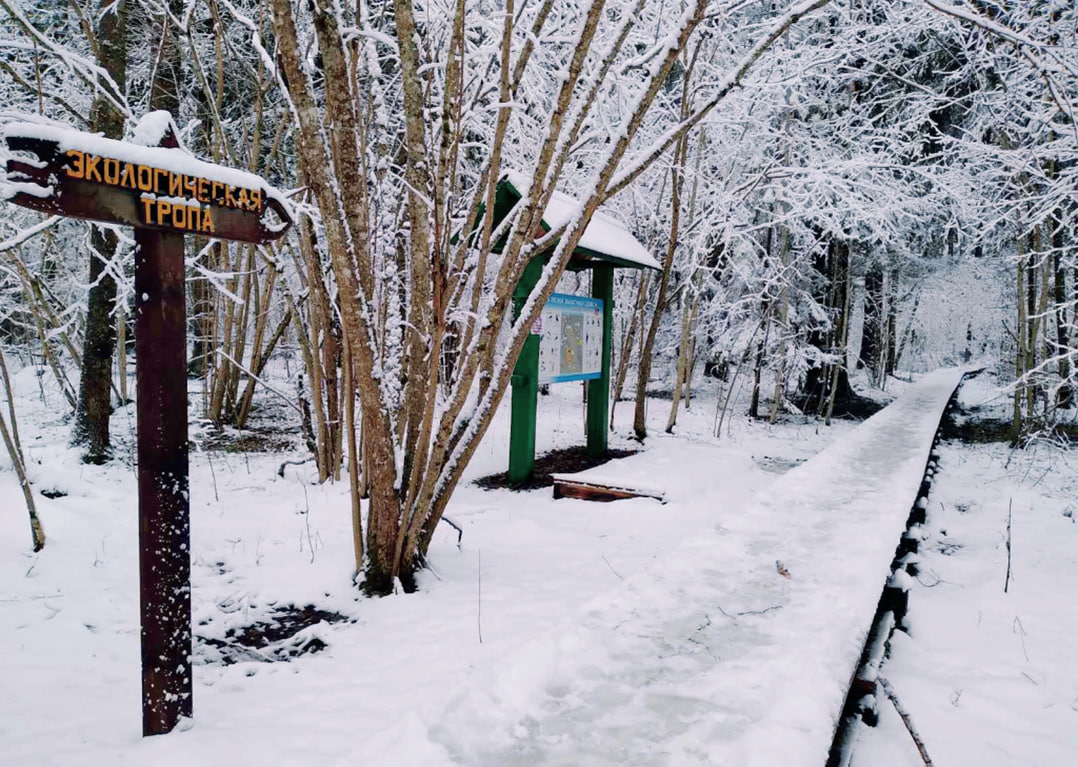 photo_2026-04-15_23-58-38