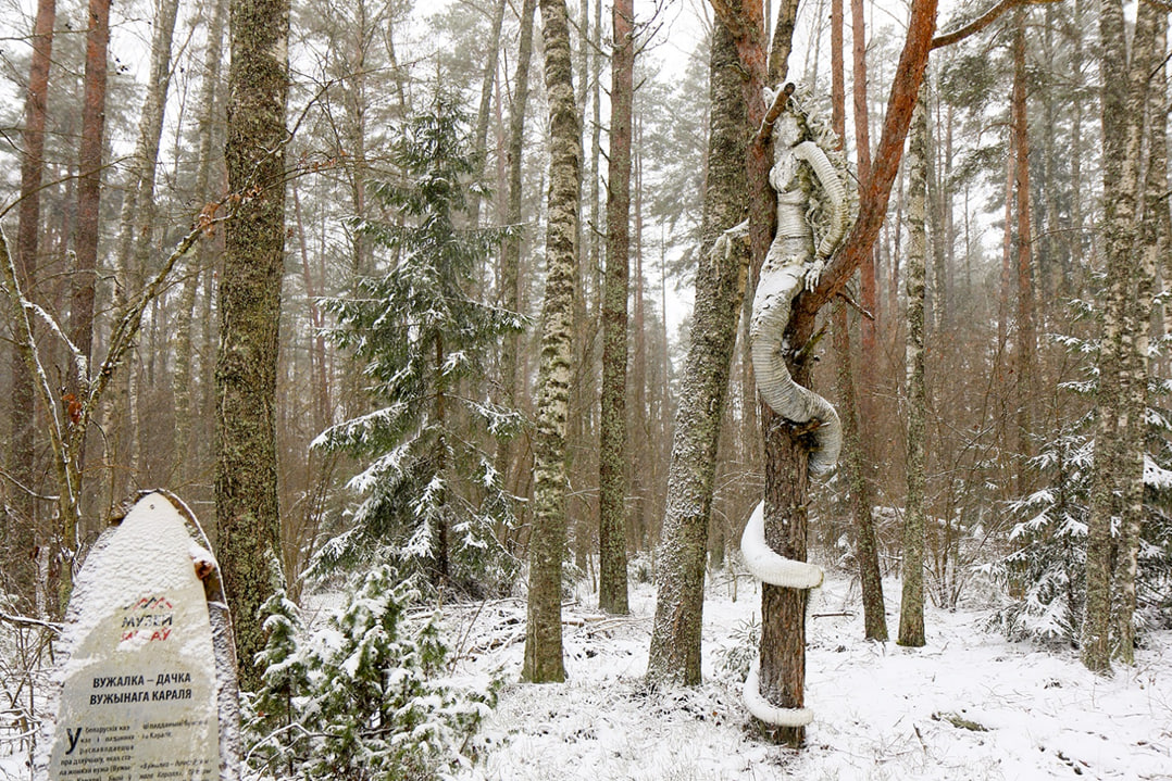 photo_2026-04-15_23-58-39 (2)