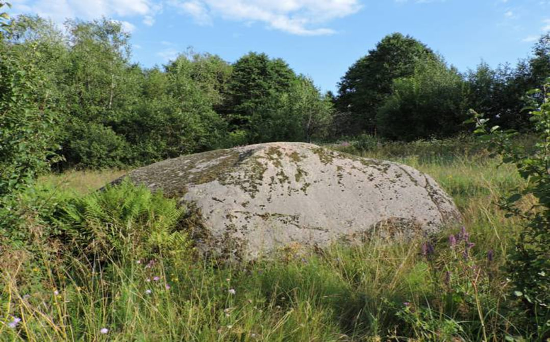 photo_2026-04-15_23-58-44