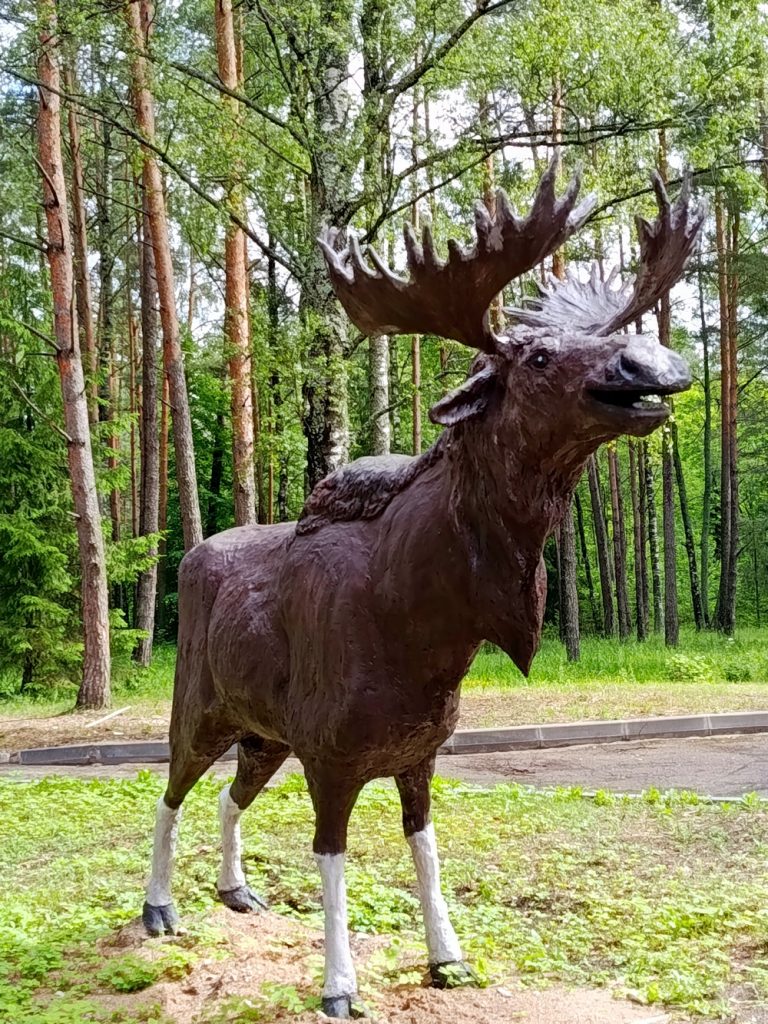 Новая локация для фото!
