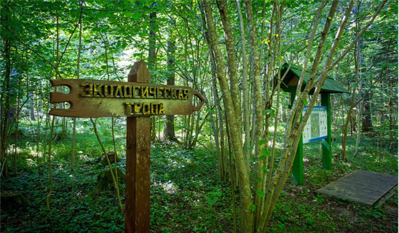 photo_2026-04-15_23-58-36