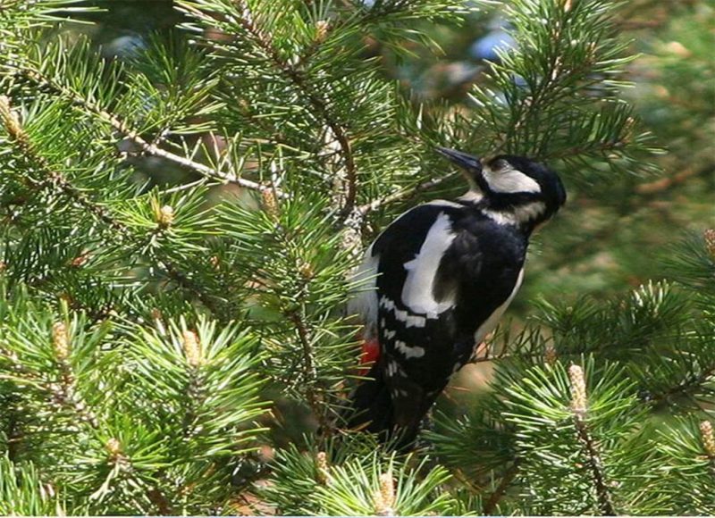 photo_2026-04-15_23-58-37 (2)