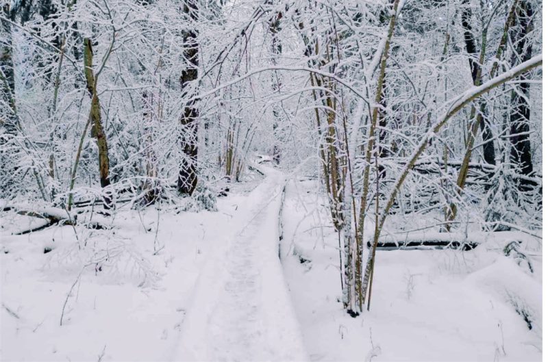 photo_2026-04-15_23-58-38 (2)