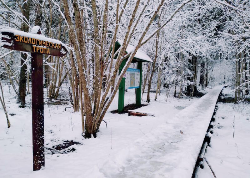 photo_2026-04-15_23-58-38