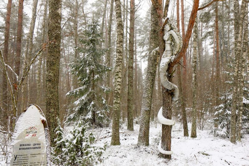 photo_2026-04-15_23-58-39 (2)