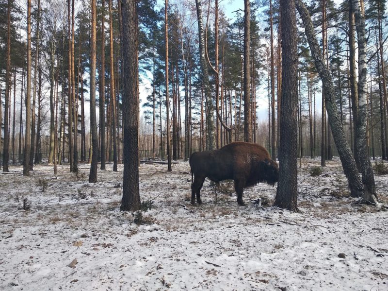 photo_2026-04-15_23-58-39 (4)