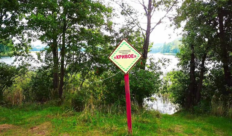 photo_2026-04-15_23-58-42 (3)