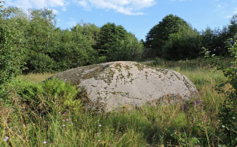 photo_2026-04-15_23-58-44