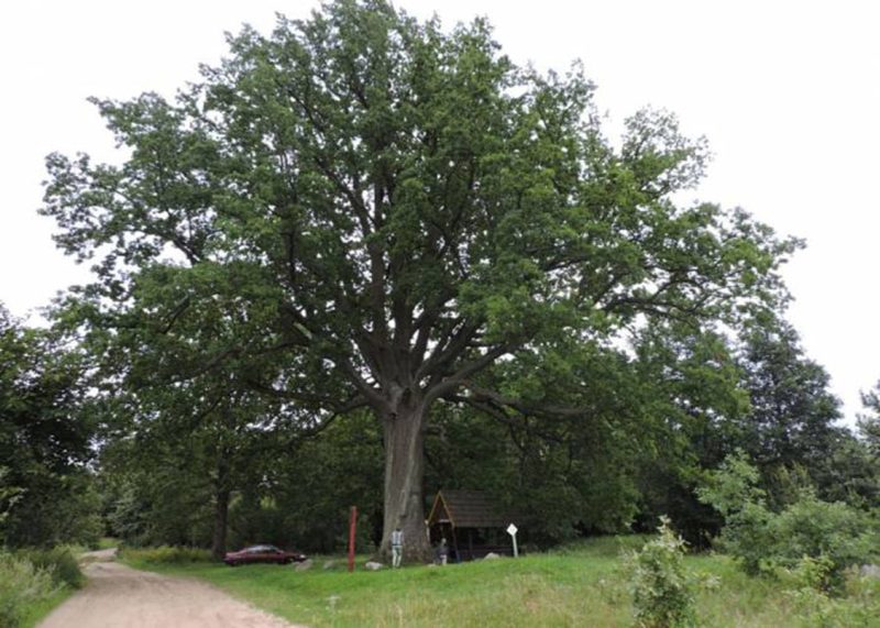 photo_2026-04-15_23-58-45